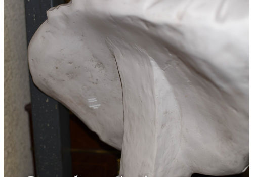 Vintage & Antique Busts Sculptures