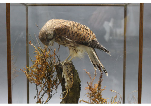 Antique Home Accessories