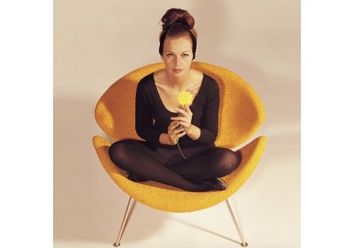 Pierre Paulin Chairs