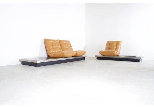 Michel Ducaroy Sofa Vintage